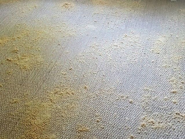 dry-carpet-cleaning-1-kireth-ai